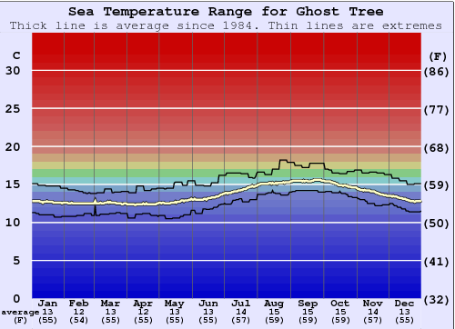 Ghost Tree Water Temperature Graph