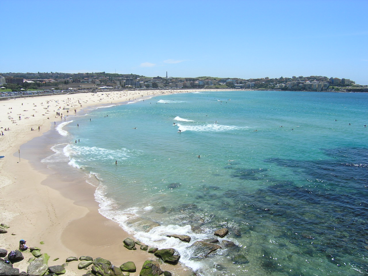 Bondi Beach Surfing