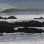 port waikato reef