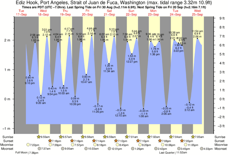 Super green Tide Times & Tide Charts