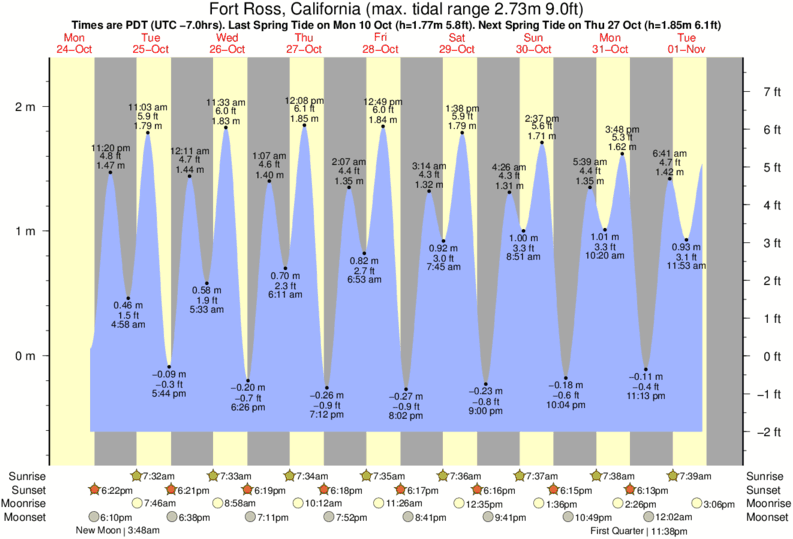 Timber Cove Tide Times & Tide Charts