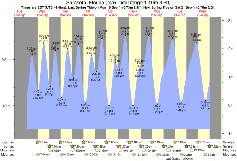 Turtle Beach Tide Times & Tide Charts