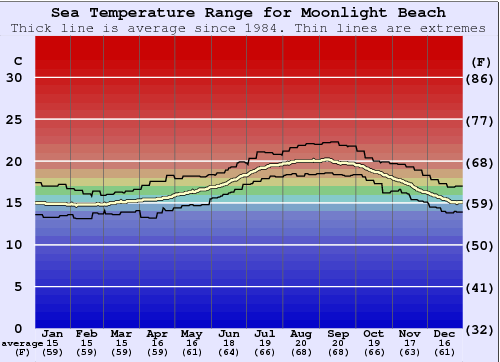 Discover the Perfect Water Temperature at Moonlight Beach