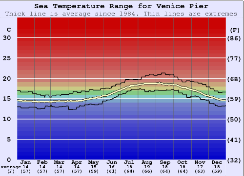 Understanding Water Temperature at Venice Beach: A Comprehensive Guide