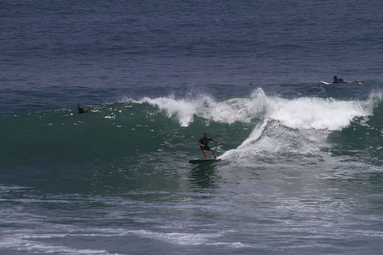 Punta Rocas Surf Photo by duende | 11:37 am 12 Mar 2012