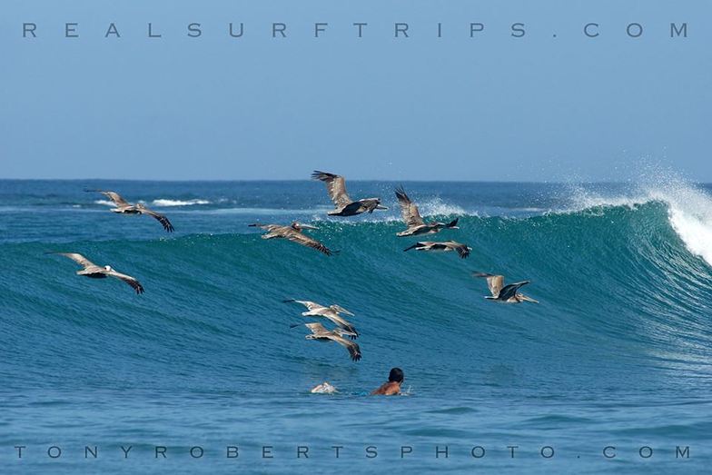 Playa Negra Surf Photo By Kflecha12 8 22 Pm 14 Oct 2014   Playa Negra 