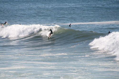 Collaroy Surf Forecast and Surf Reports (NSW - Sydney North Coast ...