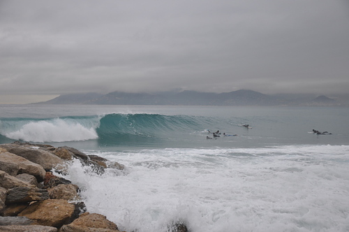 canne de surf