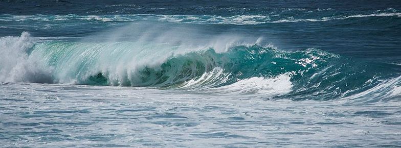 Tamarama Reef surf break