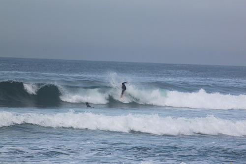 Praia de Mira Surf Forecast and Surf Reports (Beira, Portugal)