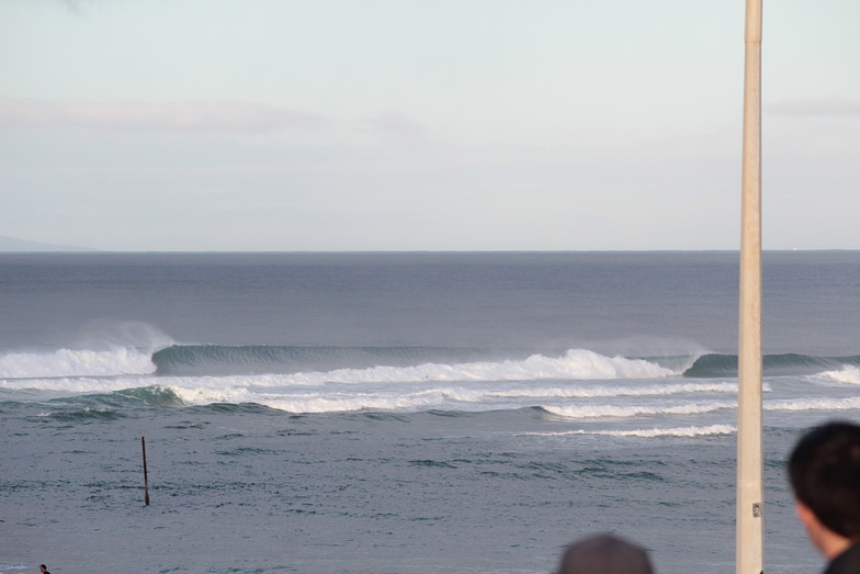 not your average joe, Mangawhai Heads