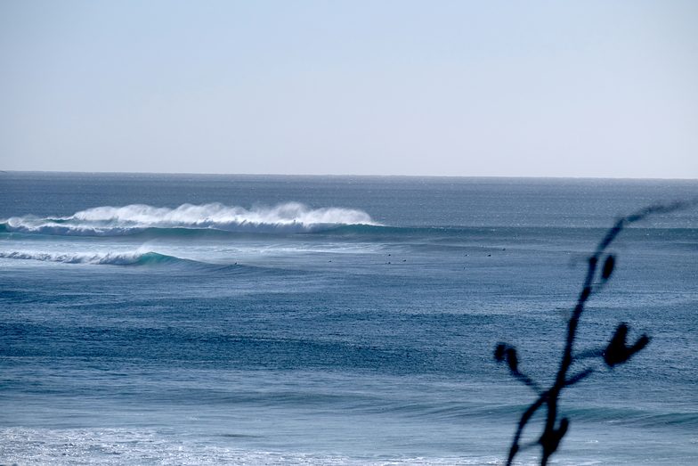 Kumera Patch Surf Photo by Rob Davies | 3:43 pm 5 Mar 2020