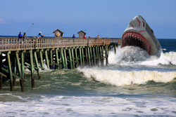 Flagler Pier Tide Chart