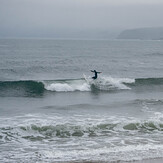 Finn smacking the lip, Pease Bay