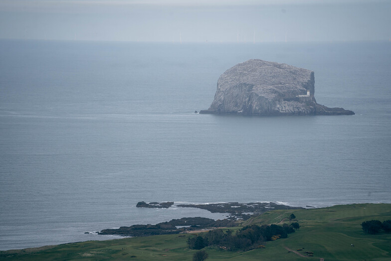 North Berwick surf break