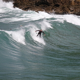 Wellington South Coast magic, Houghton Bay