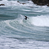 Wellington South Coast magic, Houghton Bay