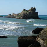 Iconic Castlepoint Reef, Castlepoint - The Gap