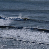 Fall Bay Reef