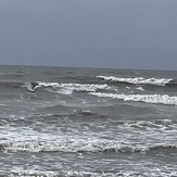 Dunn beach, Holly Beach