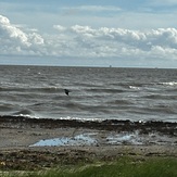 Prestorm, Holly Beach