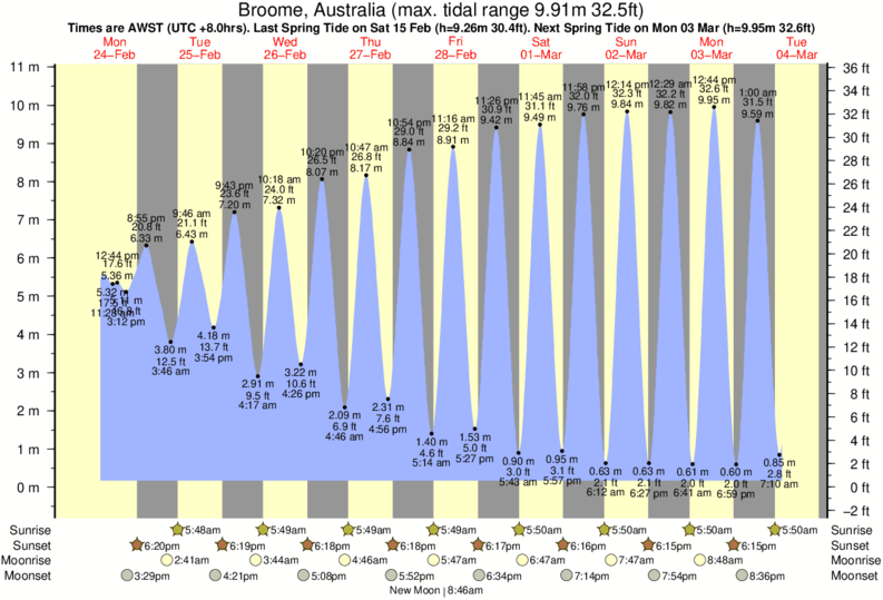 tide graph 39553