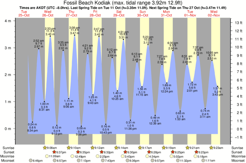 tide graph 39553