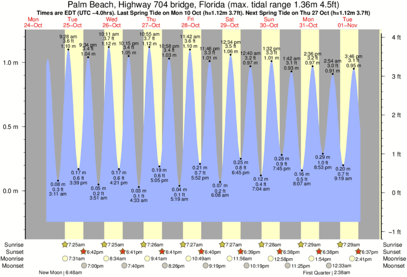 Palm Beach Jetties Tide Times & Tide Charts