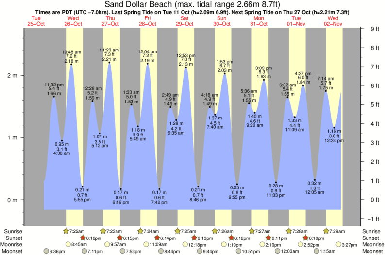 Sand Dollar Beach Tide Times & Tide Charts