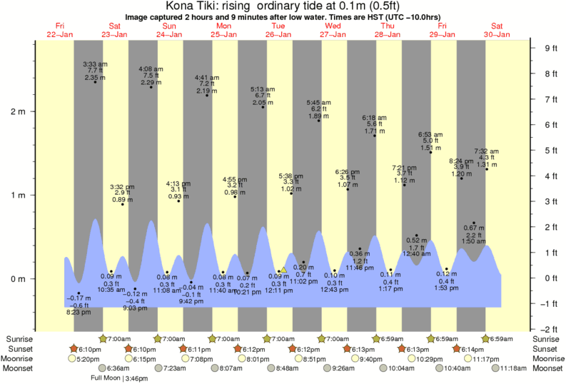 Kona Tiki Surf Photo by Robert Edwards 220 pm 26 Jan 2016