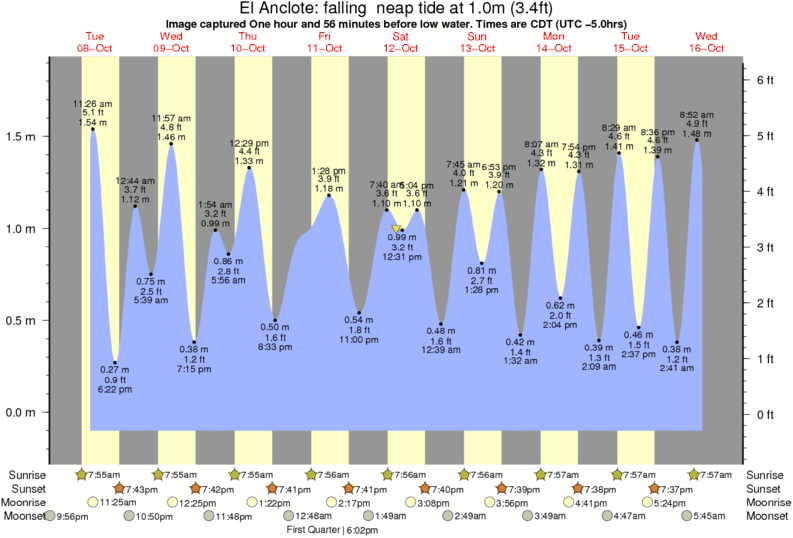 El Anclote Surf Photo by 1034 am 12 Oct 2013